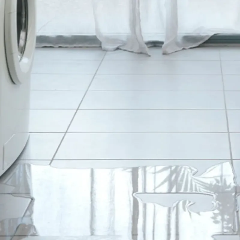Appliance Leak Cleanup in Cloverleaf, TX