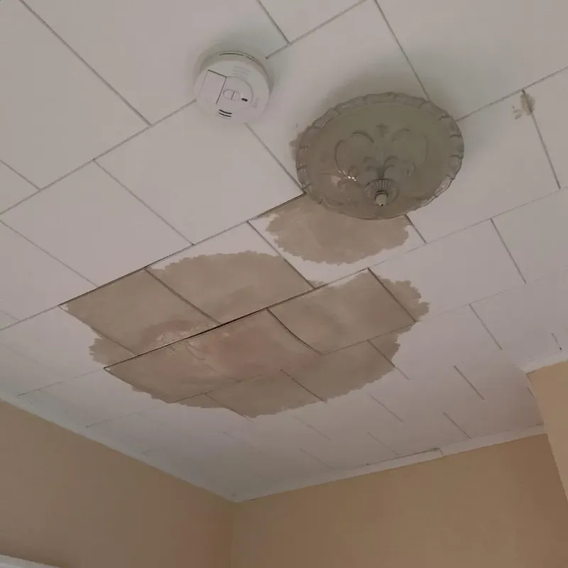 Ceiling Water Damage Repair in Cloverleaf, TX