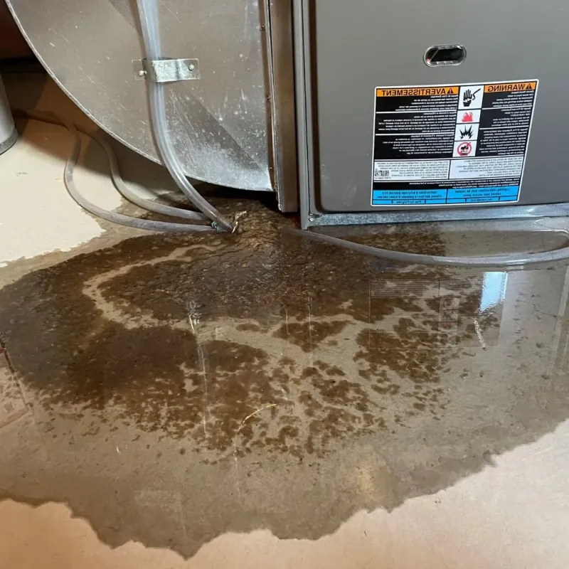 Pipe Burst and Leak Restoration in Cloverleaf, TX