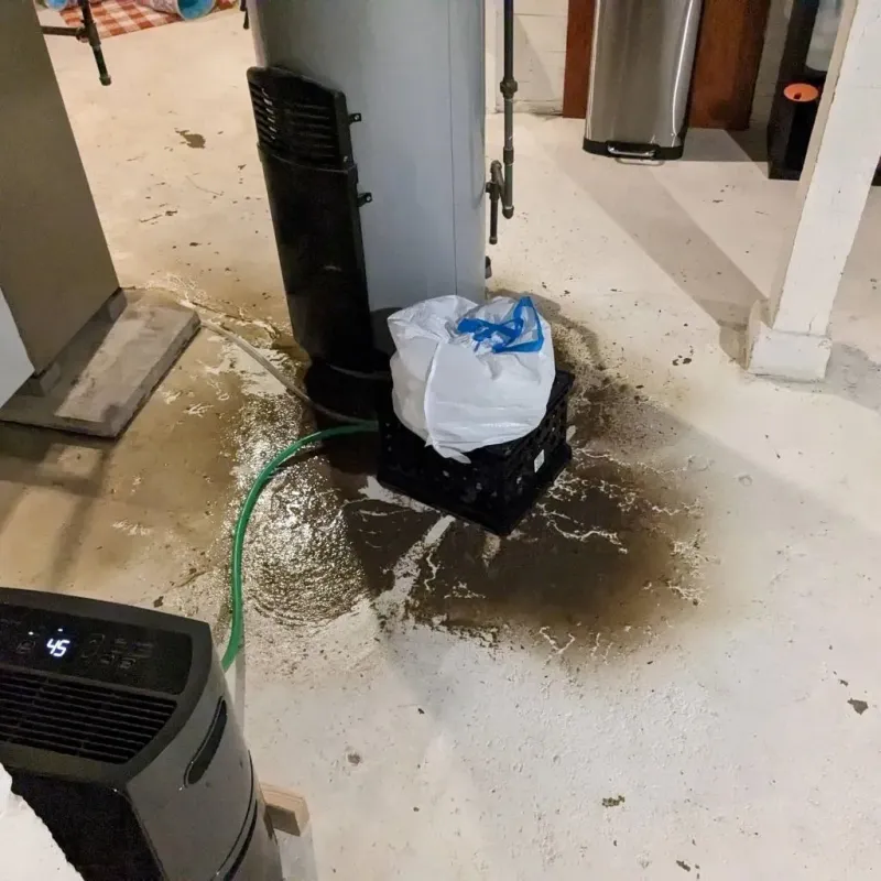Sewage Backup Cleanup Service in Cloverleaf, TX